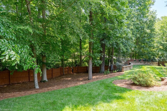 5000 Casting Way, Greensboro, NC 27455 - view of fenced backyard