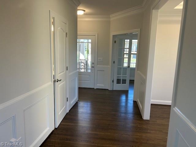 hallway featuring crown molding and dark wood-type flooring