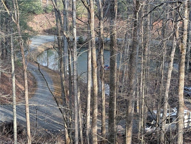 property view of water featuring a forest view