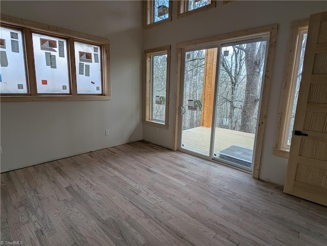 entryway featuring wood finished floors