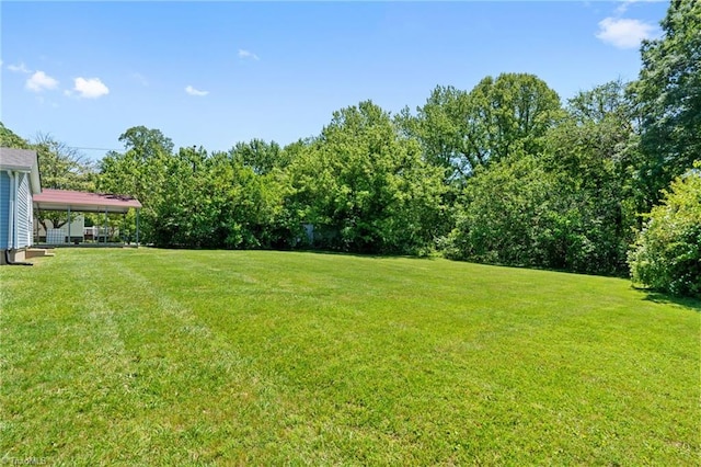 1616 Sanford Dr, Winston-Salem, NC 27105 - view of yard