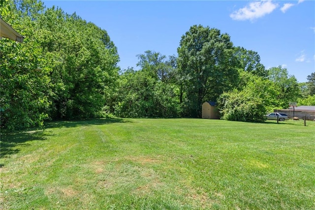 1616 Sanford Dr, Winston-Salem, NC 27105 - view of yard featuring an outdoor structure and a storage shed