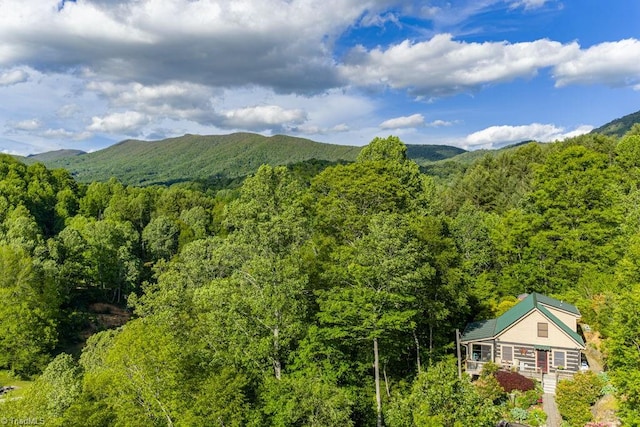 612 Joe Shoemaker Rd, Vilas, NC 28692 - view of mountain background featuring a forest