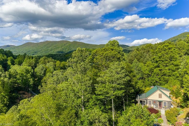 612 Joe Shoemaker Rd, Vilas, NC 28692 - view of mountain backdrop with a forest