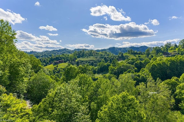 612 Joe Shoemaker Rd, Vilas, NC 28692 - view of mountain background with a heavily wooded area