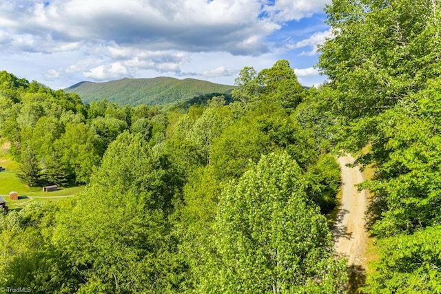 612 Joe Shoemaker Rd, Vilas, NC 28692 - view of mountain background with a heavily wooded area