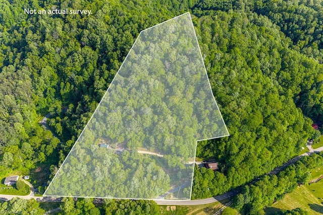 612 Joe Shoemaker Rd, Vilas, NC 28692 - aerial view of property's location featuring a forest and property parcel outlined