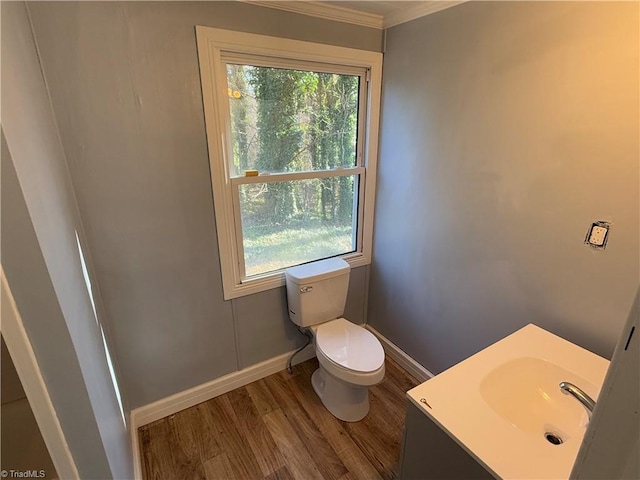 bathroom with toilet, vanity, a healthy amount of sunlight, and wood-type flooring