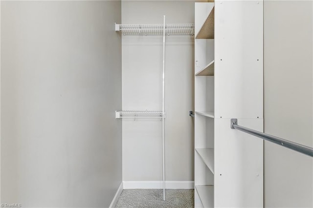 spacious closet with carpet flooring