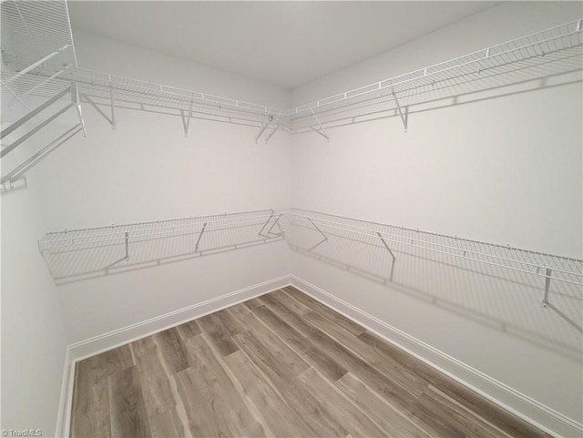 walk in closet featuring wood finished floors