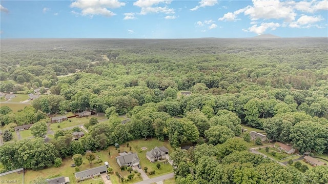 4636 Shattalon Cir, Winston-Salem, NC 27106 - aerial view of property's location featuring a forest