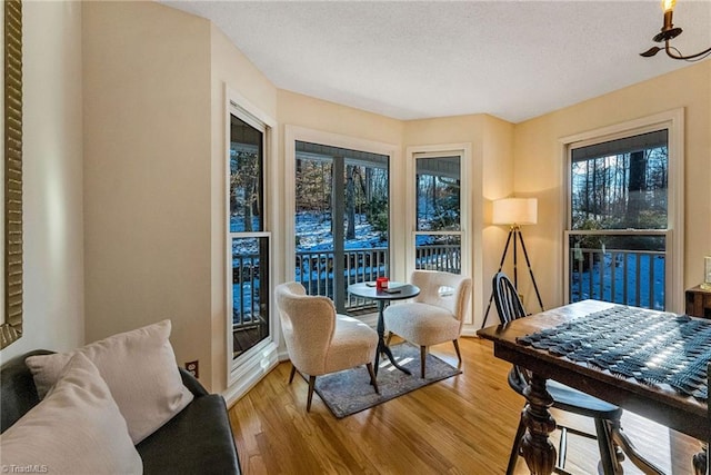 dining area with a textured ceiling and light hardwood / wood-style flooring