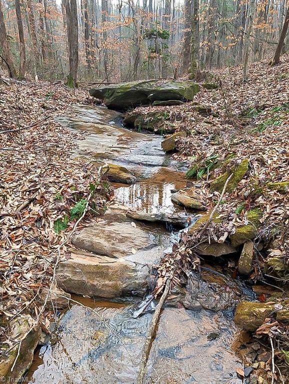 view of local wilderness