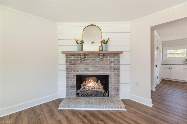 details featuring baseboards, wood finished floors, a fireplace, and crown molding