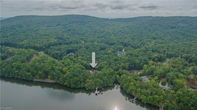 drone / aerial view featuring a water and mountain view