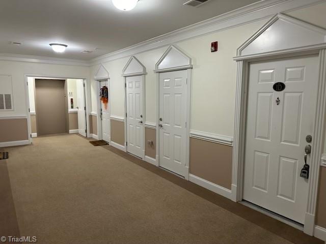 interior space featuring carpet flooring and crown molding