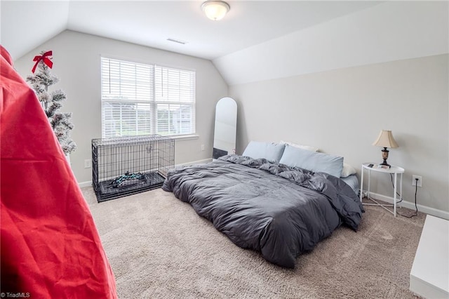 109 Red Maple Way, King, NC 27021 - bedroom with lofted ceiling, baseboards, and carpet floors