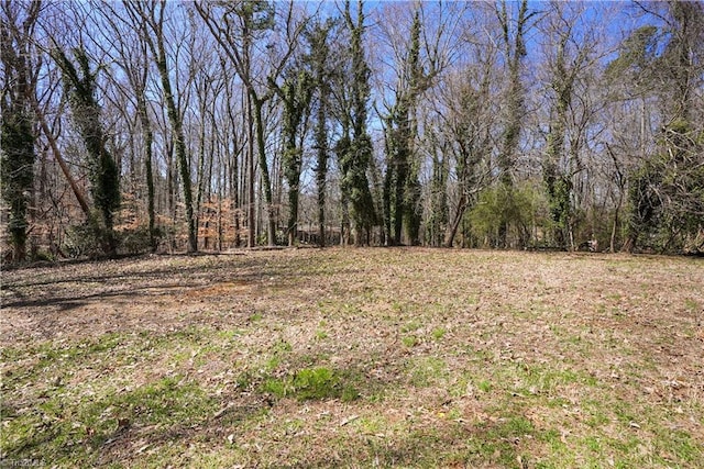 view of yard with a forest view