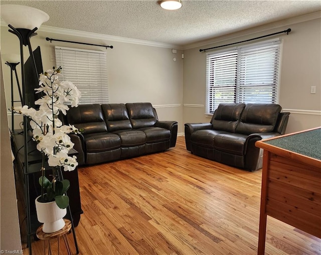 6905 Harlow Dr, Archdale, NC 27263 - living room with light wood-type flooring, a textured ceiling, and crown molding