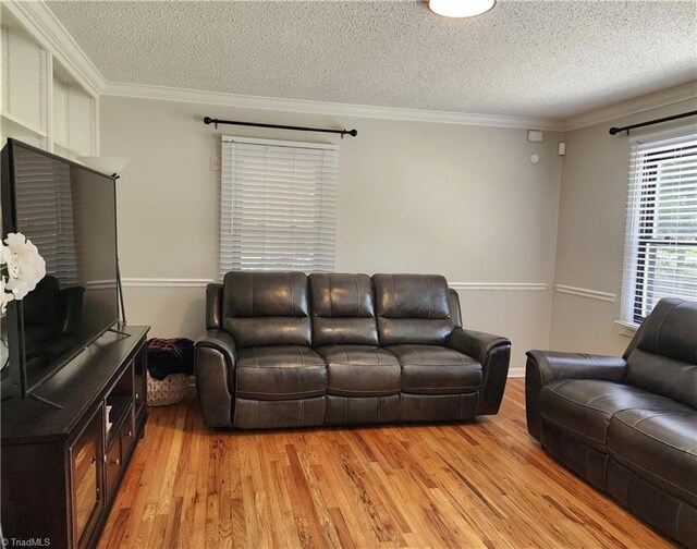 6905 Harlow Dr, Archdale, NC 27263 - living area featuring a textured ceiling, light wood-style floors, and ornamental molding