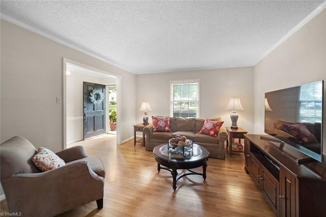 living room featuring light wood-type flooring, a textured ceiling, and crown molding
