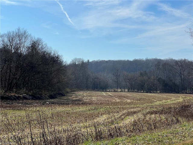 000 River Ridge Rd, Pfafftown, NC 27040