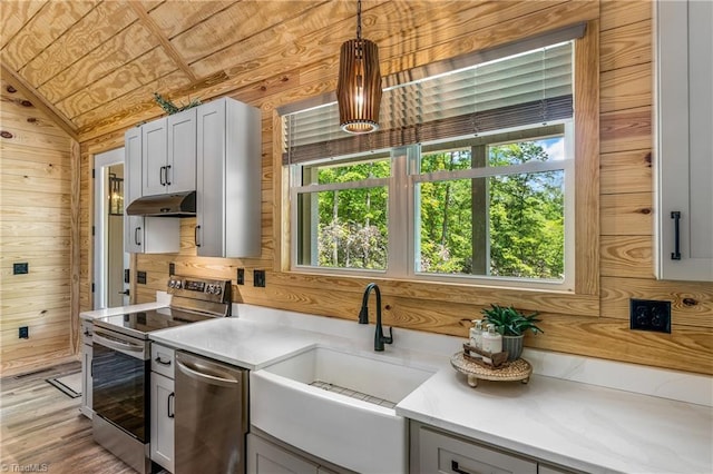 kitchen featuring appliances with stainless steel finishes, under cabinet range hood, a sink, wooden walls, and healthy amount of natural light