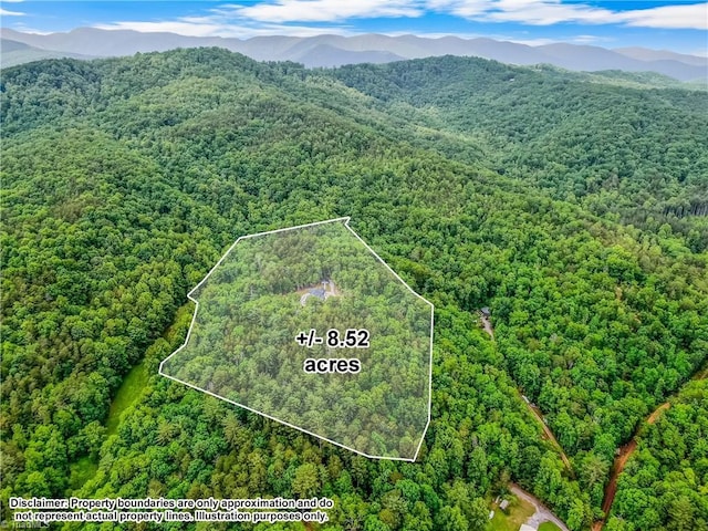 aerial view of property's location featuring a heavily wooded area, property boundaries highlighted, and a mountain backdrop