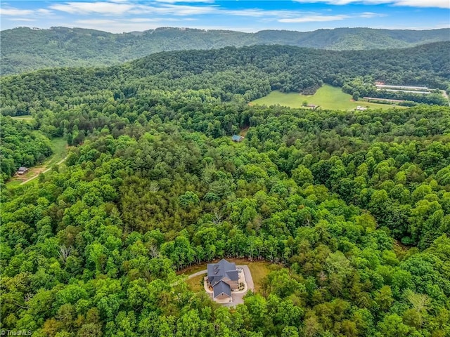 bird's eye view of a forest and a mountainous background
