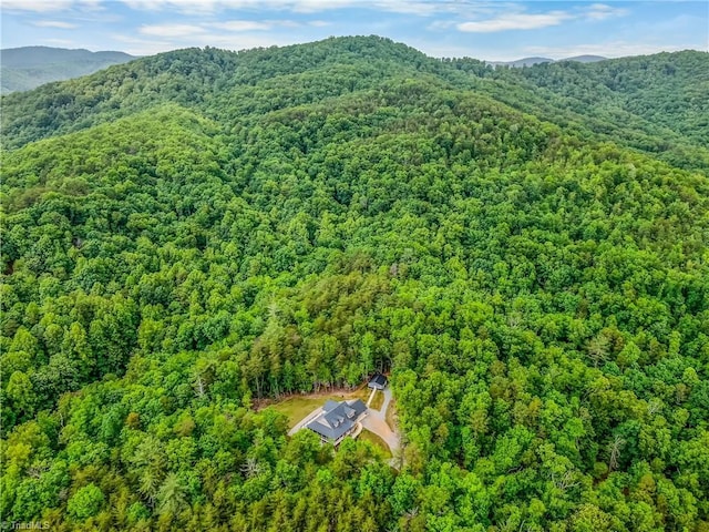 aerial view of a forest and a mountainous background