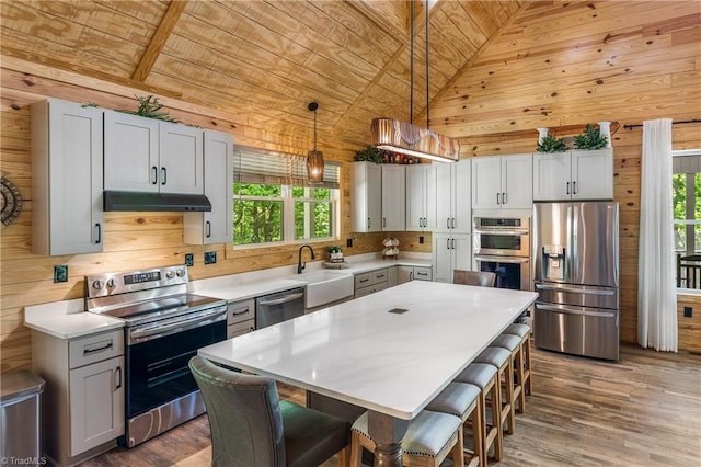 kitchen featuring stainless steel appliances, wood ceiling, under cabinet range hood, plenty of natural light, and a sink