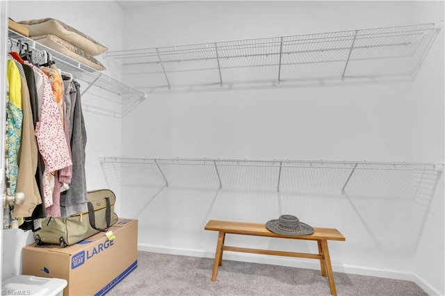 817 Sage Hill Dr, Jamestown, NC 27282 - walk in closet with carpet flooring