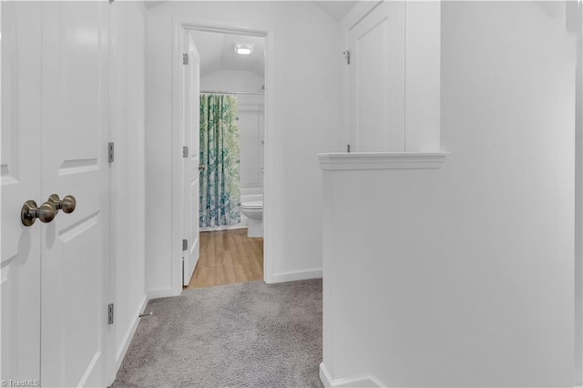 817 Sage Hill Dr, Jamestown, NC 27282 - hallway with carpet flooring and vaulted ceiling