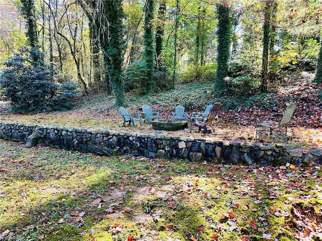 view of yard featuring an outdoor fire pit