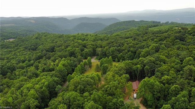 birds eye view of property featuring a mountain view