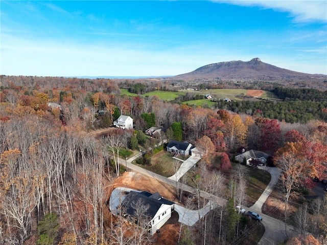 birds eye view of property featuring a mountain view