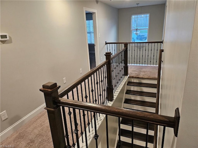 stairway with carpet