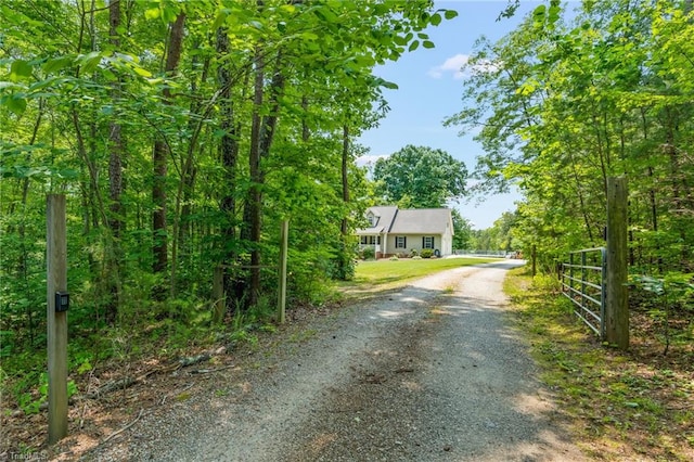 5805 Pine Hall Rd, Walnut Cove, NC 27052 - view of dirt / gravel road