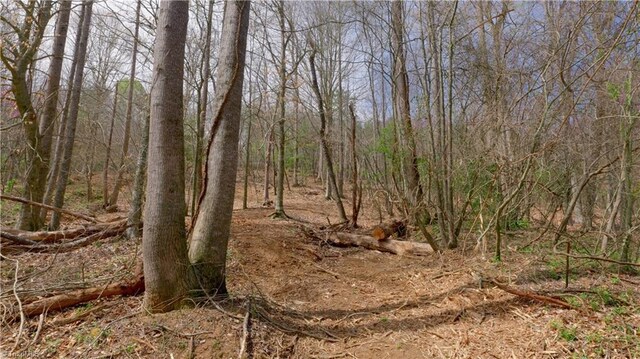 335 Phillips Rd, Dobson, NC 27017