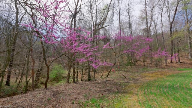 335 Phillips Rd, Dobson, NC 27017