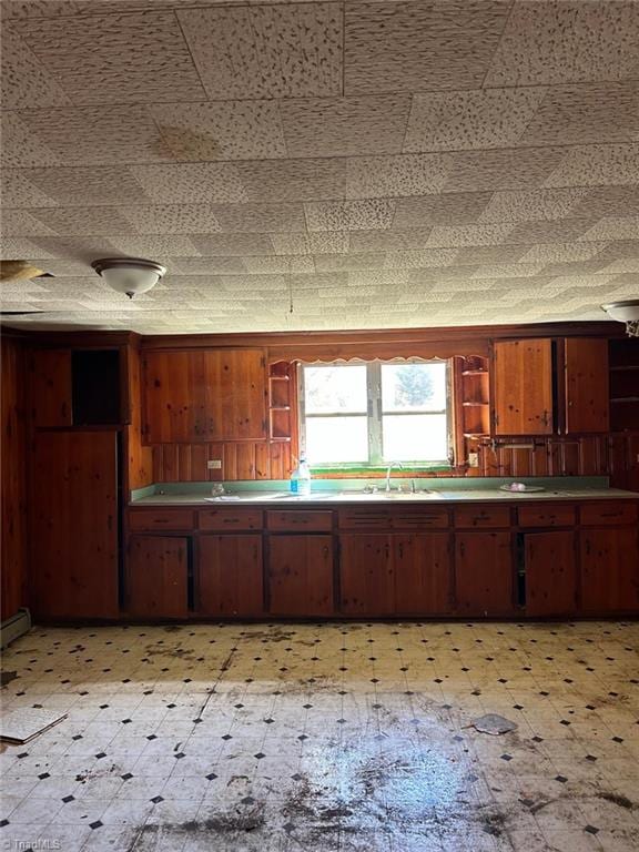 kitchen featuring sink and wooden walls