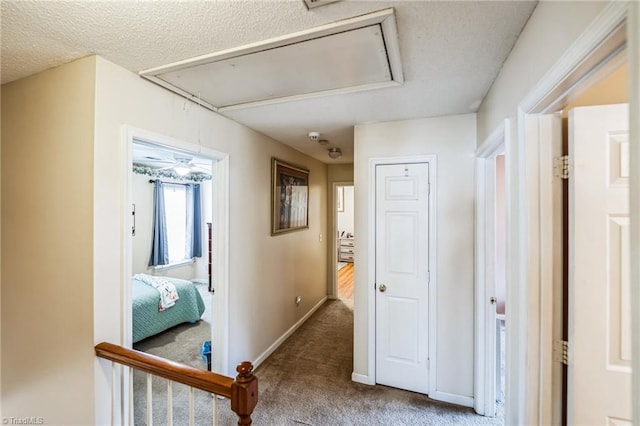 hallway with carpet and a textured ceiling