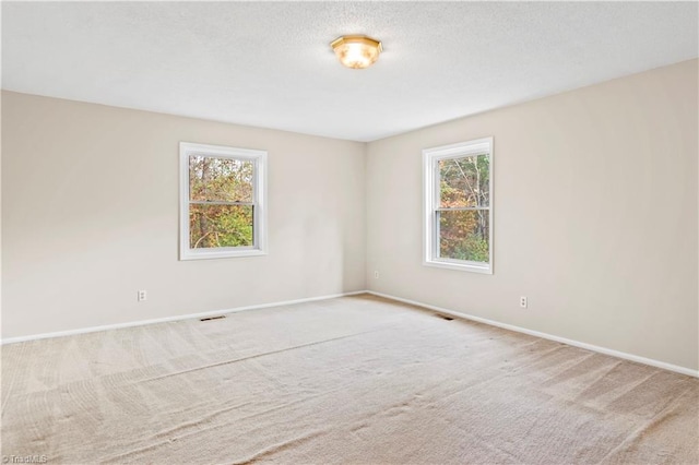 carpeted empty room featuring plenty of natural light