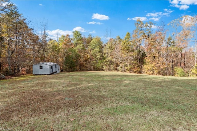 view of yard featuring a storage shed