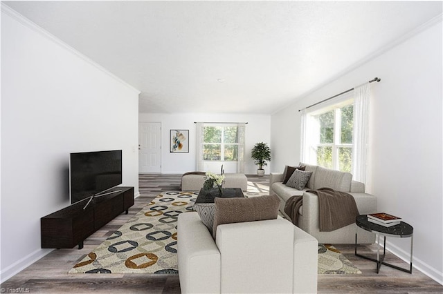 living room featuring wood-type flooring and crown molding