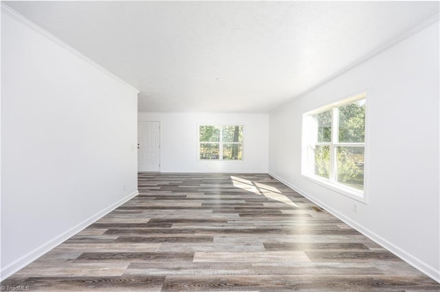 empty room featuring crown molding and dark wood-type flooring