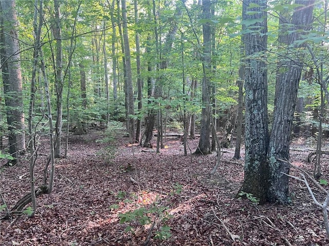 00 Ellisboro Rd, Stokesdale NC, 27357 land for sale