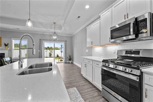 6624 Knob Creek Dr, Whitsett, NC 27377 - kitchen featuring appliances with stainless steel finishes, a sink, ornamental molding, a tray ceiling, and plenty of natural light