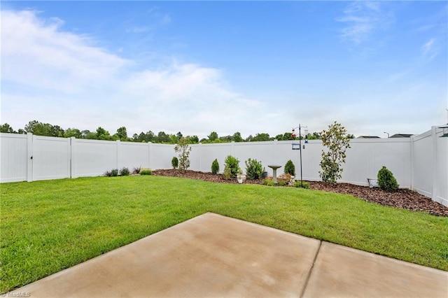 6624 Knob Creek Dr, Whitsett, NC 27377 - view of yard with a patio