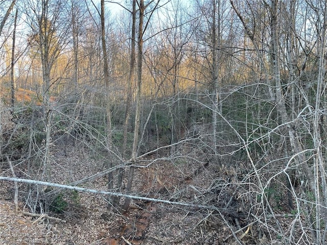 0 Rockford St, Mount Airy, NC 27030